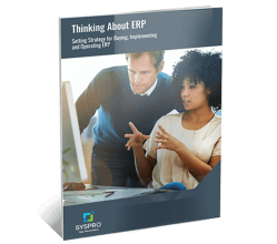 ebook-thumbnail-thinking-about-erp